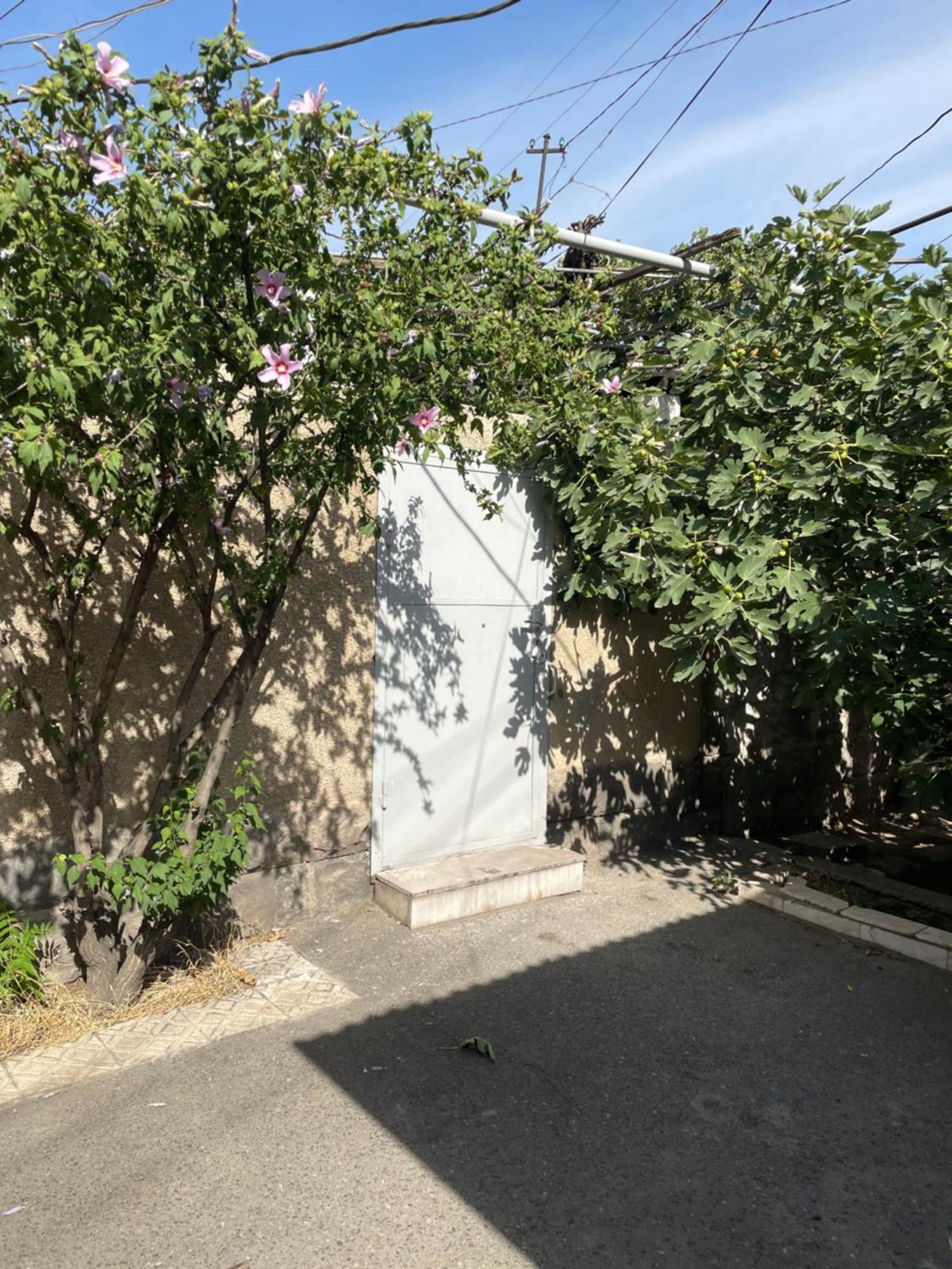 Apartment In The City Center With The Garden Jerevan Exteriör bild